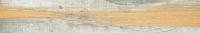 &ɥ ˥С 1200200ʿ :GM (66589NTU)
