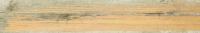&ɥ ˥С 1200200ʿ :BM (66591NTU)