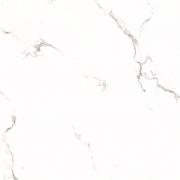 &ɥ ݥå 600ʿ :2 (66609NTU)