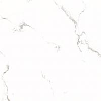&ɥ ݥå 600ʿ :2 (66609NTU)