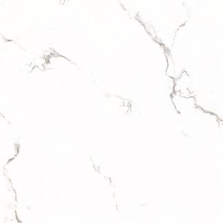 �֥��ɥ�����:��&�ɥ����� �ݥ�å��� 600��ʿ ��:2(66609NTU)