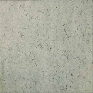�֥��ɥ�����:��&�ɥ����� �ȥ��� 300��ʿ ��:51(66621NTU)