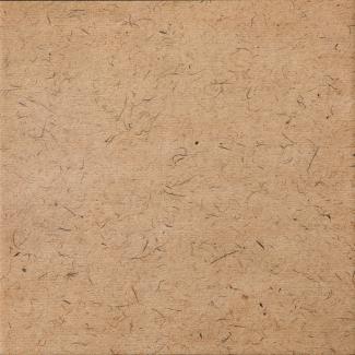 �֥��ɥ�����:��&�ɥ����� �ȥ��� 300��ʿ ��:52(66622NTU)
