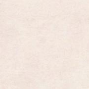 ��&�ɥ����� �ƥ�ƥå� (��)600��ʿ ��:1(Avorio) (66669NTU)