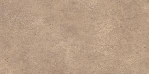 &ɥ ƥƥå ()600300ʿ :2(Senape)  ڼùʡ