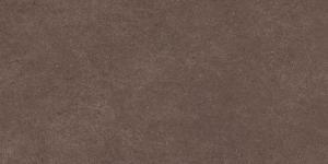 &ɥ ƥƥå ()600300ʿ :6(Vinaccia)  ڼùʡ
