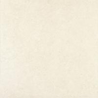  ݡ顼 600ʿ :1 (66681NTU)