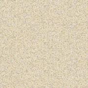 �������� ���ĥ䥭 600��ʿ ��:604 (66685NTU)