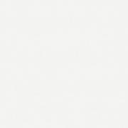 ��&�ɥ����� �ե��󥿥� 600��ʿ ��:1 (66711NTU)