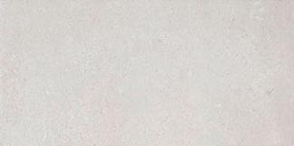 �֥��ɥ�����:��&�ɥ����� ��ʡ��� 600�ѡ�300��ʿ ��:1(66826NTU)