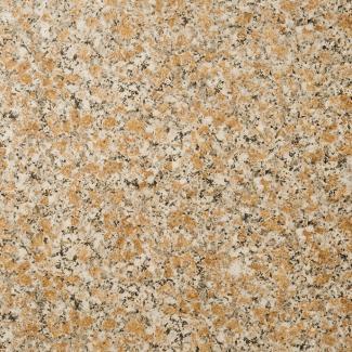 �֥��ɥ�����:��&�ɥ����� �Υ֥� 300��ʿ ��:3(66843NTU)