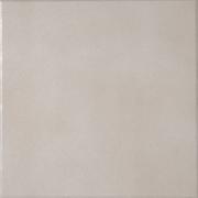 ��&�ɥ����� �쥸���� 300��ʿ ���� ��:11 (66872NTU)