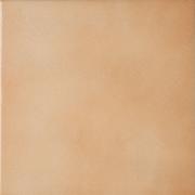 ��&�ɥ����� �쥸���� 300��ʿ ���� ��:13 (66874NTU)