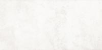 &ɥ  600300ʿ   :101 (66895NTU)