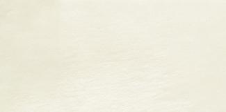 �֥��ɥ�����:��&�ɥ����� �С��� 600��300��ʿ ��:1(66973NTU)