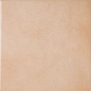 ��&�ɥ����� �ץ�⥹ 300��ʿ ��:502 (66992NTU)