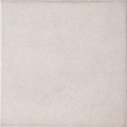 ��&�ɥ����� �ץ�⥹ 300��ʿ ��:602 (66995NTU)