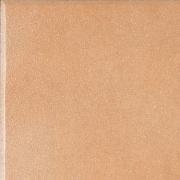 ��&�ɥ����� �ץ�⥹ 150��ʿ������ĥ�� ��:503 (67025NTU)