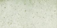&ɥ в 600300ʿ :4() (67103NTU)