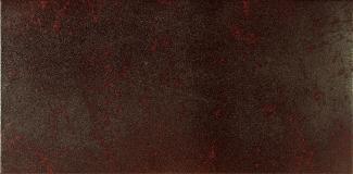 �֥��ɥ�����:��&�ɥ����� Ŵ�� 600��300��ʿ ��:2(67116NTU)