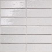 �ɥ����� �����ڥ�� 50����ʿ(ɽ)��ĥ�� ��:1 (67137NTU)