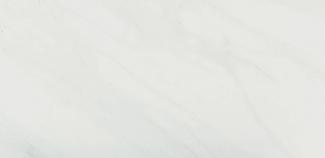 �֥��ɥ�����:�ɥ����� �ݡ�����󥹥ȡ���? (��)600��300��ʿ ��:38011(67142NTU)