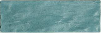 �֥��ɥ�����:�ɥ����� �ꥢ�� 200��65�ܡ����� ��:5(Aqua)(67159NTU)