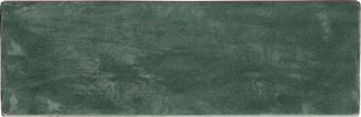 �֥��ɥ�����:�ɥ����� �ꥢ�� 200��65�ܡ����� ��:6(Green)(67160NTU)