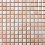 �ɥ����� �ץ����� 25��ʿ(ɽ)��ĥ��[12��12γ] ��:5 (67339NTU)