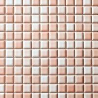 �ɥ����� �ץ����� 25��ʿ(ɽ)��ĥ��[12��12γ] ��:5 (67339NTU)