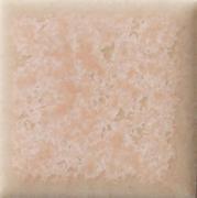 �ɥ����� �ץꥻ��N 25��ʿ(ɽ)��ĥ��[12��12γ] ��:302N (67357NTU)