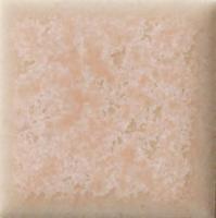 �ɥ����� �ץꥻ��N 25��ʿ(ɽ)��ĥ��[12��12γ] ��:302N (67357NTU)