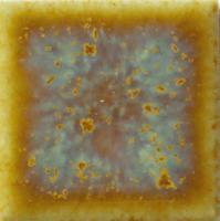 �ɥ����� �ץꥻ��N 25��ʿ(ɽ)��ĥ��[12��12γ] ��:307N (67362NTU)