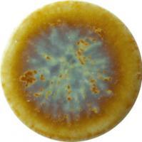 �ɥ����� �ץꥻ��N 19��ʿ(ɽ)��ĥ��[14��16γ] ��:307N (67371NTU)