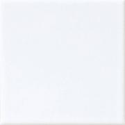 �ɥ����� �ԥ奢���� 100��ʿ��ĥ�� ��:1 (67606NTU)