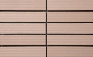 �֥��ɥ�����:�ɥ����� ���ݥ�B����ե� 50����ʿ��ĥ�� ��:06AB(67777NTU)