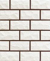 �ɥ����� ���ݥ�X 50��ʿSTUnitĥ�� ��:1 (67880NTU)