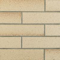 �ɥ����� �˥�ȥ� 217��55�ܡ�����ʿ ��:1 (67941NTU)