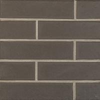 �ɥ����� �˥�ȥ� 217��55�ܡ�����ʿ ��:2 (67942NTU)