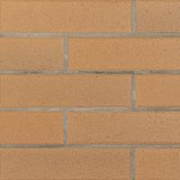 �ɥ����� �˥�ȥ� 217��55�ܡ�����ʿ ��:4 (67944NTU)