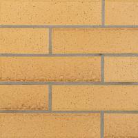 �ɥ����� �˥�ȥ� 217��55�ܡ�����ʿ��ĥ��1/3���ĥ�� ��:3 �ڼ����б��ʡ� (67947NTU)