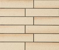 �ɥ����� ���ȥ꡼��ܡ����� 47����ʿ��ĥ�� 1/4���ĥ�� ��:3 (67971NTU)