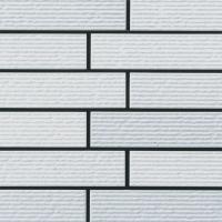 �ɥ����� �ᥤ�ץ�ܡ����� 50����ʿ��ĥ�� 1/4���ĥ�� ��:2 (68062NTU)