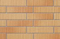 �ɥ����� �ե����륺�ܡ����� 50����ʿ��ĥ�� ��:40 (68118NTU)