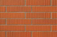 �ɥ����� �ե����륺�ܡ����� 50����ʿ��ĥ�� ��:50 (68119NTU)