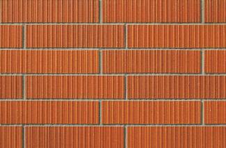 �֥��ɥ�����:�ɥ����� �ե����륺�ܡ����� 50����ʿ��ĥ�� ��:50(68119NTU)