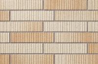 �ɥ����� �ե����륺�ܡ����� 50����ʿ��ĥ�� 1/4���ĥ�� ��:30 (68132NTU)