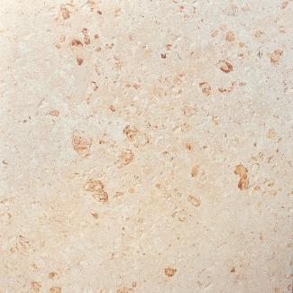 �֥��ɥ�����:��&�ɥ����� �� 600��ʿ ��:7(ΰ���г���)(68275NTU)