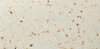 �֥��ɥ�����:��&�ɥ����� �� 600��300��ʿ ��:4(��ë��) �ڼ����б��ʡ�(68279NTU)