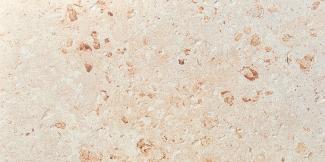 ��&�ɥ����� �� 600��300��ʿ ��:7(ΰ���г���) �ڼ����б��ʡ�